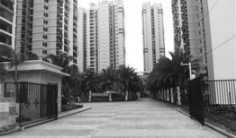 永秀花园爆料视频最新消息,视频揭露惊人真相！