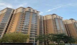 开源嘉苑爆料案件真相视频,揭秘真相背后的惊人内幕